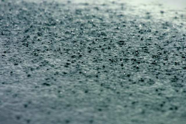 酸性雨の写真イメージ