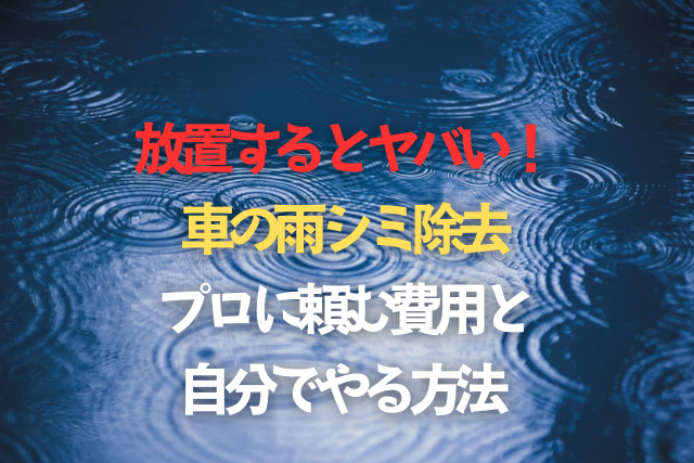 雨シミ除去のページのタイトル画像