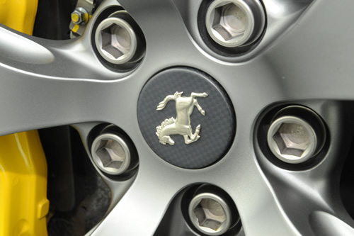 フェラーリ Ferrari 599GTO施工画像